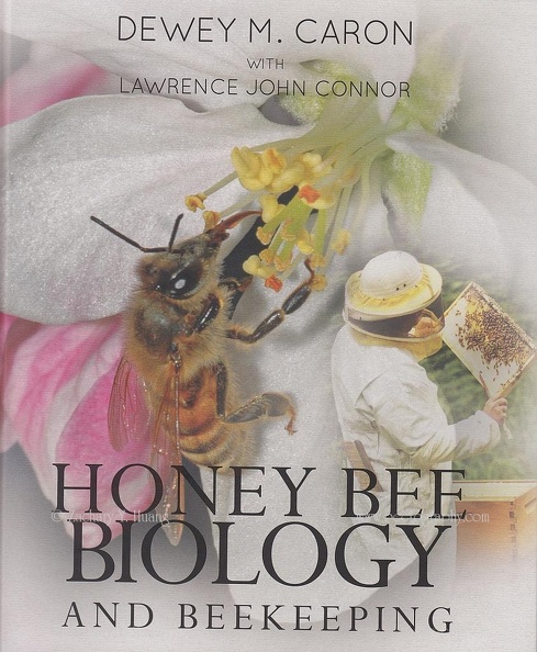 Cover-honeybeeBiology2013