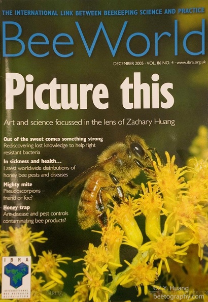 cover-Beeworld-2005-12