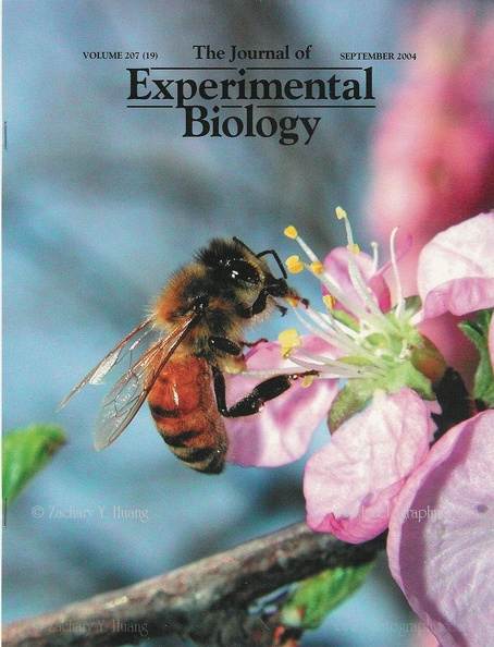 cover-ExperimentalBiology-2004-09
