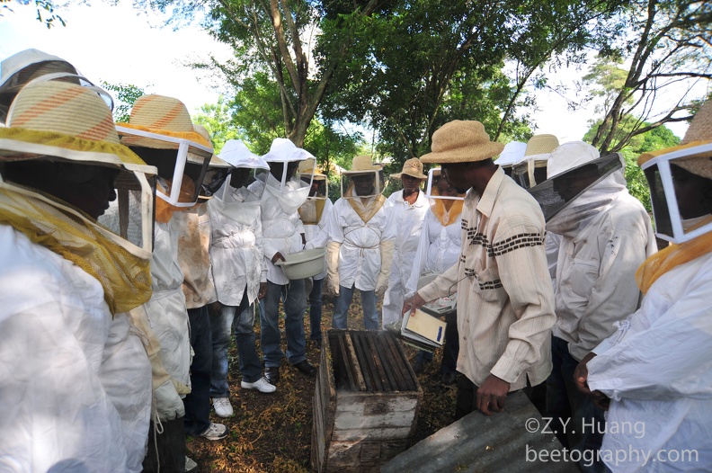 Beekeeping-in-Haiti-DSC 2423